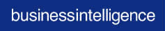 Business Intelligence